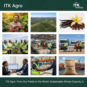Aerial view showing ITK Agro's integrated supply chain in Uganda: thriving coffee and vanilla plantations, logistics trucks (ITK Movers) loading specialized agricultural exports, and African farmers working sustainably.